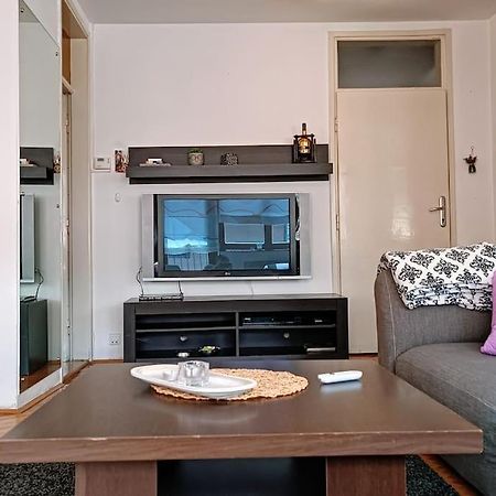 Spacious Condo Near Bascarsija - Free Parking SJJ Exterior photo