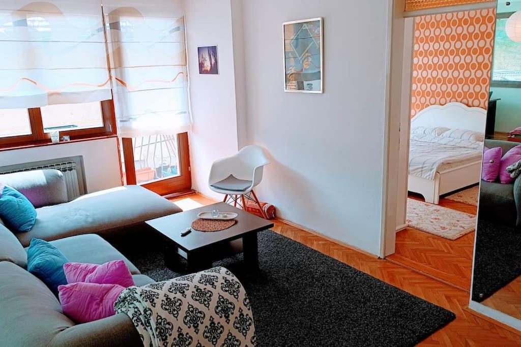 Spacious Condo Near Bascarsija - Free Parking SJJ Exterior photo